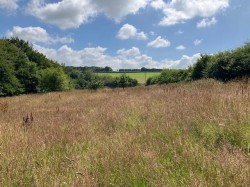Images for Brendon Hill, Watchet