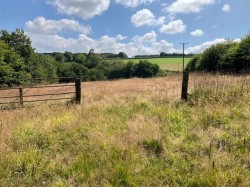 Images for Brendon Hill, Watchet