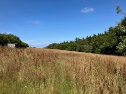 Images for Brendon Hill, Watchet