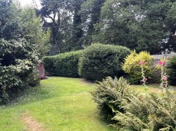 Images for Shillingstone, Blandford Forum