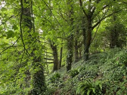 Images for Grove Trading Estate, Dorchester, Dorset DT1 1ST
