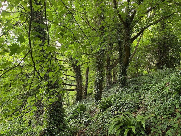 Images for Grove Trading Estate, Dorchester, Dorset DT1 1ST