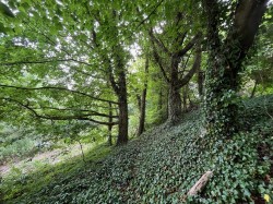 Images for Grove Trading Estate, Dorchester, Dorset DT1 1ST