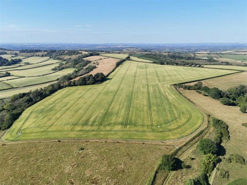 Click the photo for more details of Cerne Abbas, Dorchester