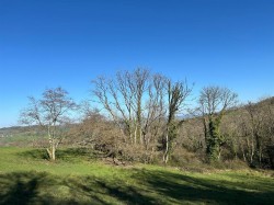 Images for Farway, Colyton