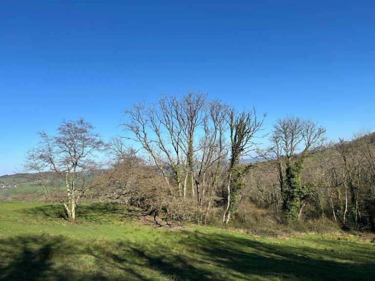 Images for Farway, Colyton