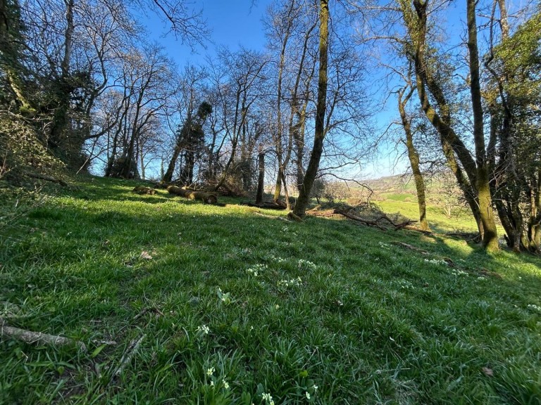 Images for Farway, Colyton