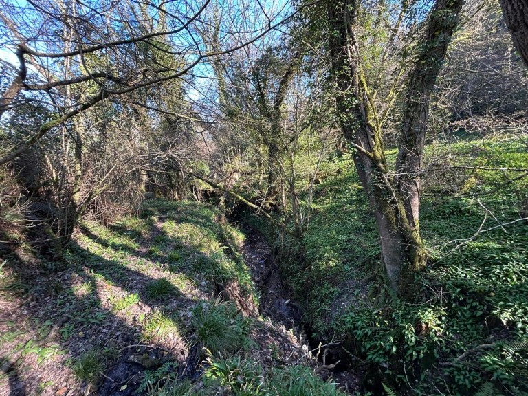 Images for Farway, Colyton