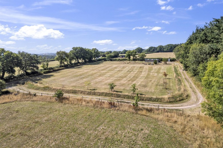 Click the photo for more details of Colyton Hill, Colyton