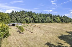 Images for Colyton Hill, Colyton