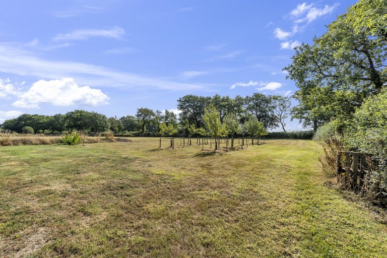 Images for Colyton Hill, Colyton
