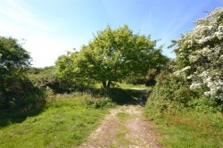 Images for Plantatation, Troon, Camborne