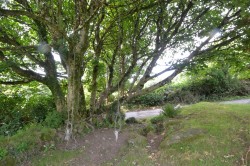 Images for Plantatation, Troon, Camborne