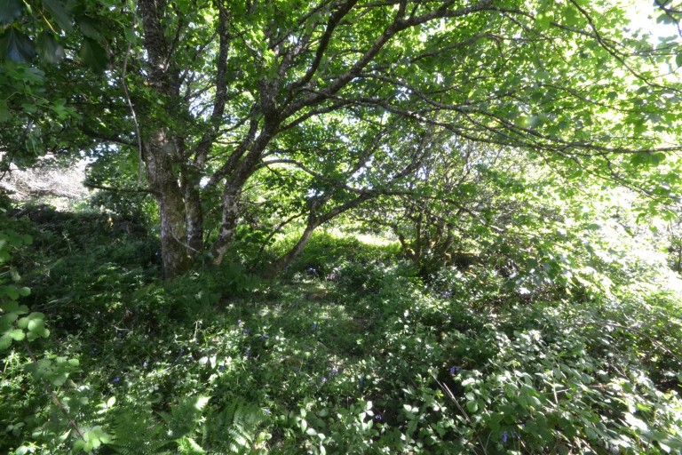 Images for Plantatation, Troon, Camborne