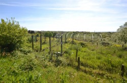 Images for Plantatation, Troon, Camborne