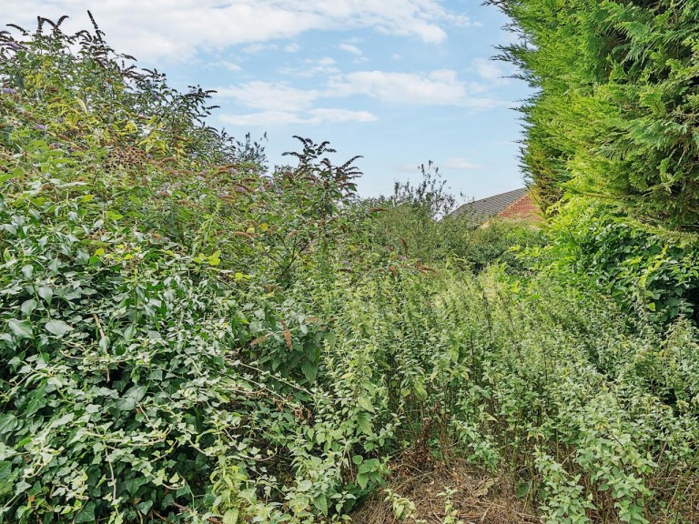 Images for Wheeler End, Chinnor, Oxfordshire