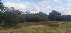 Images for Lamerton, near Tavistock
