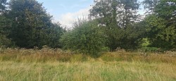 Images for Lamerton, near Tavistock