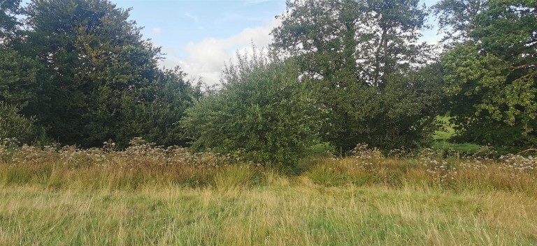 Images for Lamerton, near Tavistock