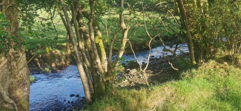 Click the photo for more details of Lamerton, near Tavistock