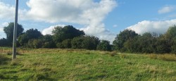 Images for Lamerton, near Tavistock
