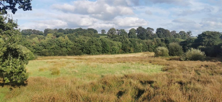 Images for Lamerton, near Tavistock