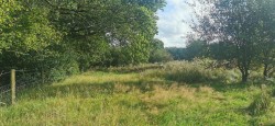 Images for Lamerton, near Tavistock