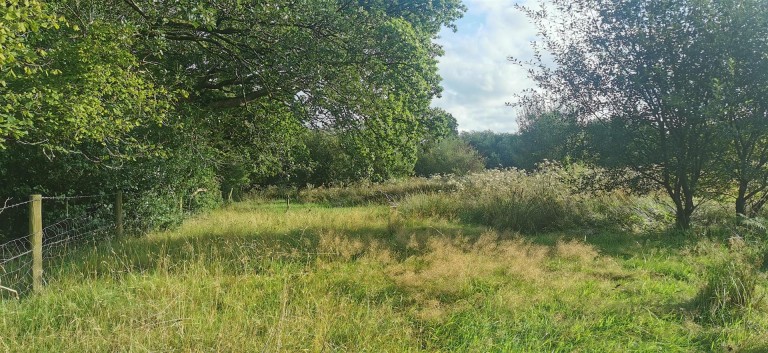 Images for Lamerton, near Tavistock
