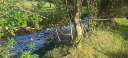 Images for Lamerton, near Tavistock