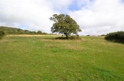 Images for Prospidnick, Helston