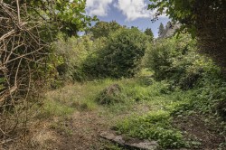 Images for Cott Road, Dartington, Totnes