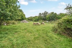 Images for Grenville Road, Lostwithiel