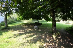 Images for Grenville Road, Lostwithiel