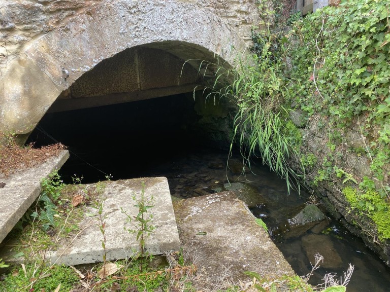 Images for Holywell, East Coker