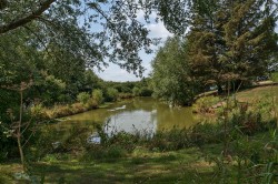 Images for Todber, Sturminster Newton