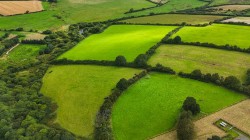 Images for Woolsery