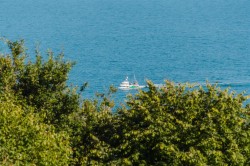 Images for Pine Walk, Lyme Regis