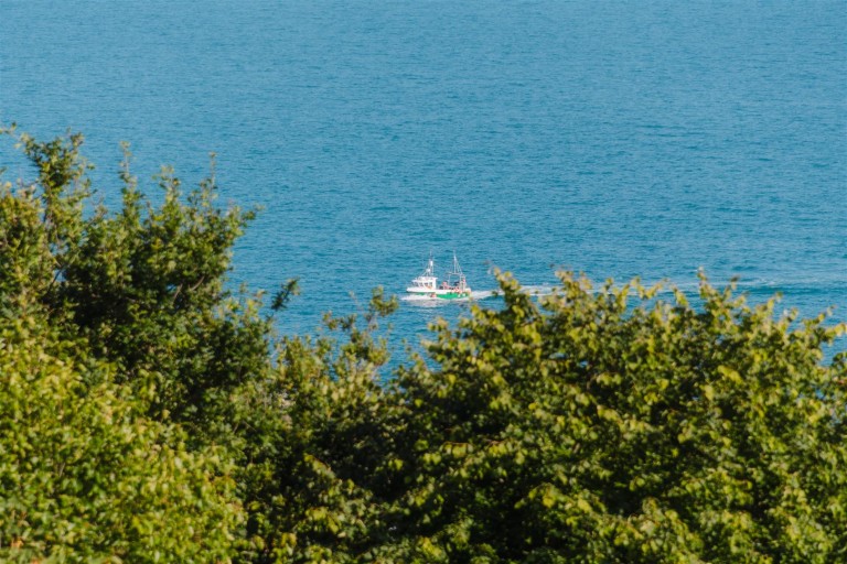 Images for Pine Walk, Lyme Regis
