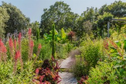 Images for Pine Walk, Lyme Regis