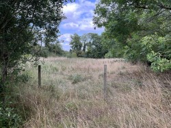 Images for Shillingstone, Blandford, Dorset