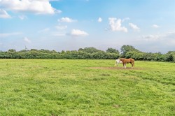 Images for Bradworthy