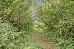 Images for Bradworthy