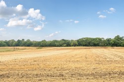 Images for Turnerspuddle, Dorchester, Dorset