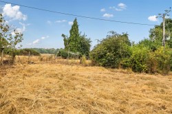 Images for Turnerspuddle, Dorchester, Dorset