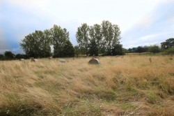 Images for Mitchells Yard, Wilburton, Ely