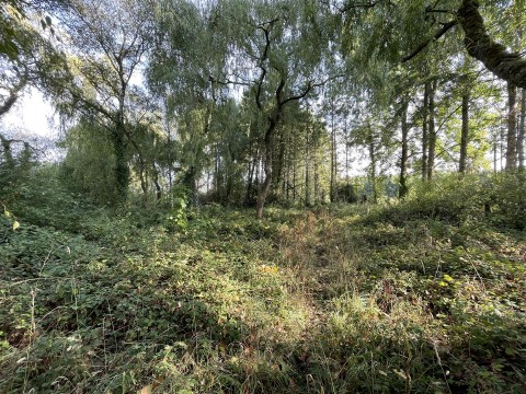 Click the photo for more details of Millbrook Lane, East Knoyle, Shaftesbury