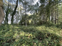 Images for Millbrook Lane, East Knoyle, Shaftesbury