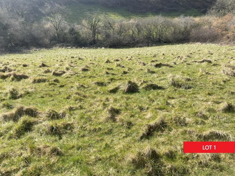 Images for Quethiock