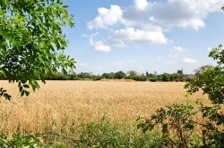 Images for Old Barn Farm, Ladbroke