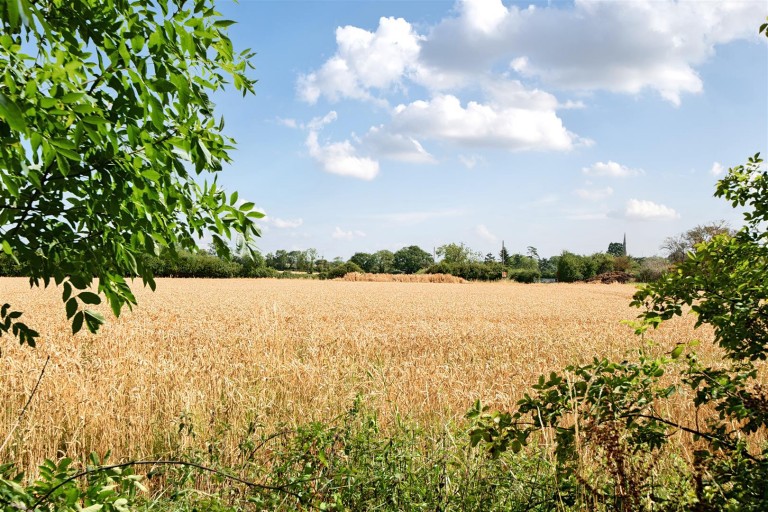 Images for Old Barn Farm, Ladbroke